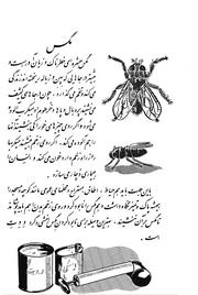 صفحهٔ بعدی ←