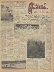 → صفحهٔ قبلی