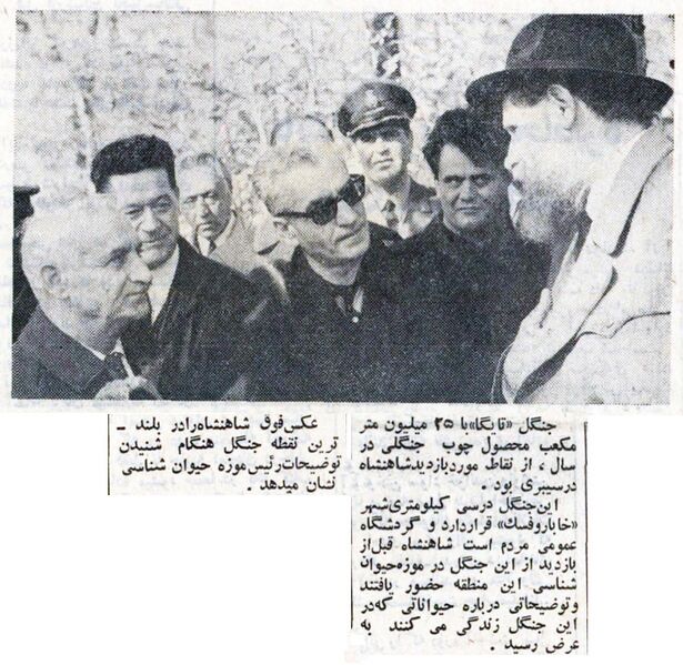 پرونده:ShahanshahKhabarovskWoods1347.jpg