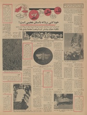 → صفحهٔ قبلی