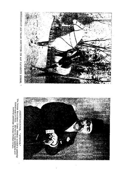 پرونده:Thestranglingofpersia.pdf