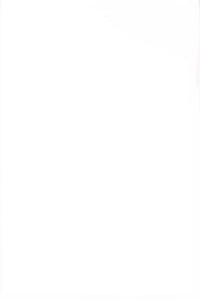 پرونده:ForoughiMashruteh.pdf