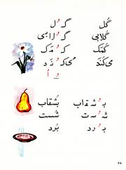 صفحهٔ بعدی ←