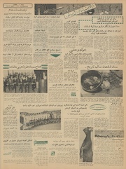 → صفحهٔ قبلی