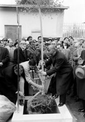 ShahanshahAryamehrTreePlanting1338d.jpg