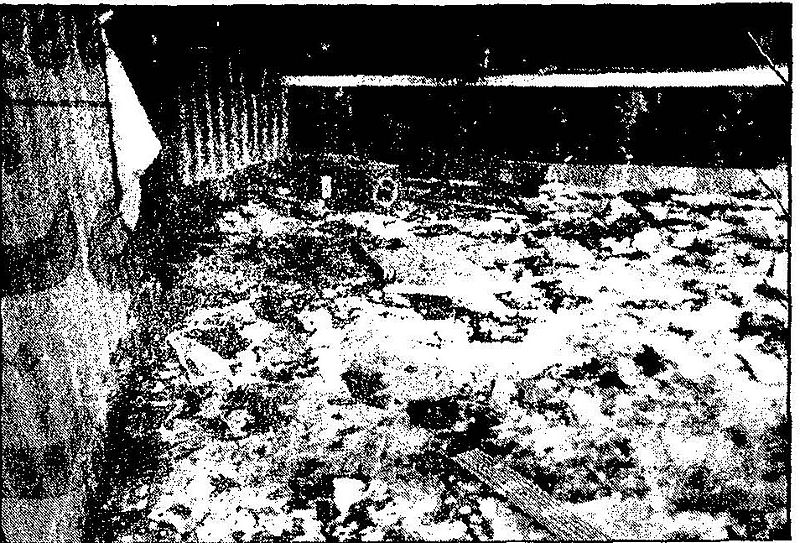 پرونده:Chaos1357ShirazCinema570521 2a.jpg