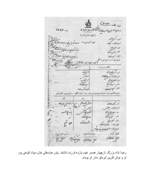 پرونده:رضا شاه بزرگ نابغه دوران.pdf