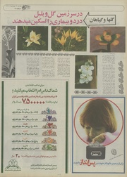 → صفحهٔ قبلی