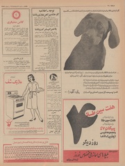 صفحهٔ بعدی ←