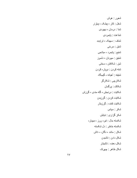 پرونده:برابرهای پارسی در گفتگوهای روزمره.pdf