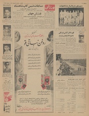 صفحهٔ بعدی ←