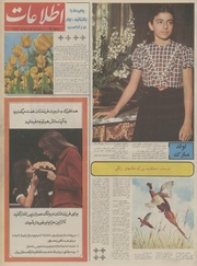 → صفحهٔ قبلی