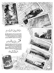 → صفحهٔ قبلی