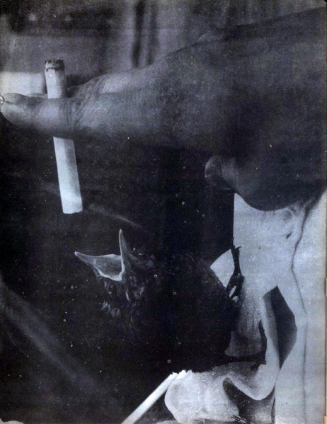 پرونده:Tamasha13491227V2.pdf