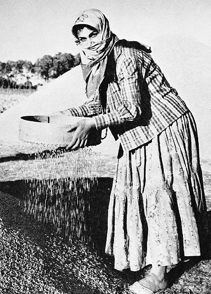 پرونده:WomanfarmerAzarbaijan.jpg