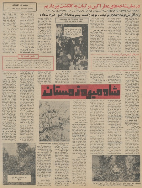 پرونده:Ettelaat13451008.pdf