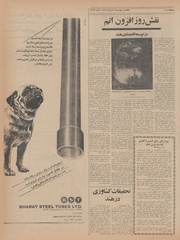 → صفحهٔ قبلی