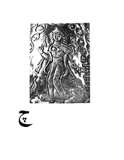 دانشنامه مصور موسيقی ايران چ.PDF