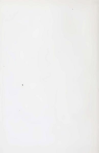 پرونده:Persiav2.pdf