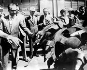 ShahanshahAryamehrPortKemblaSteelWorks NSW1353d.jpg